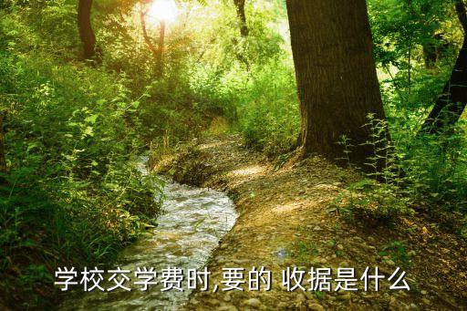 收據(jù)是什么,大副收據(jù)是什么