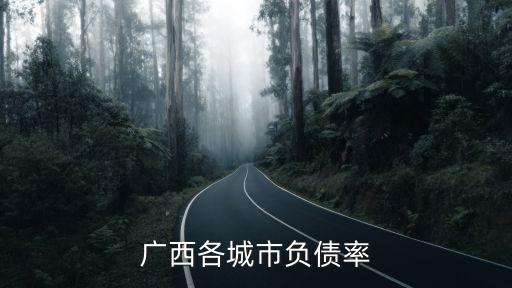 債務(wù)率