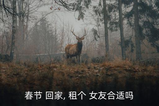 租個女友回家過年