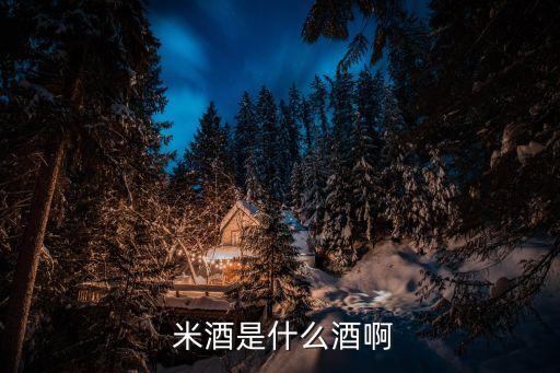  米酒是什么酒啊