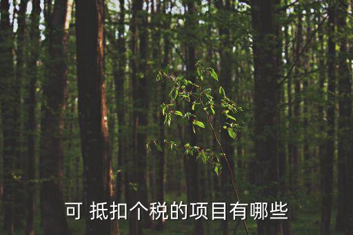 抵扣個稅,個人養(yǎng)老金如何抵扣個稅