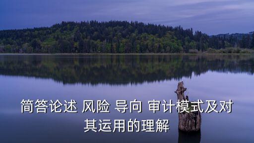 風(fēng)險(xiǎn)導(dǎo)向?qū)徲?jì)