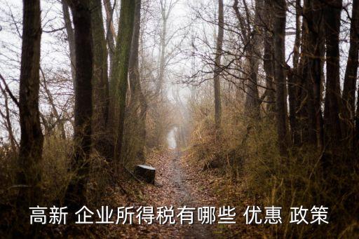 高新 企業(yè)所得稅有哪些 優(yōu)惠 政策