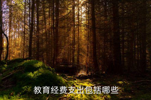 教育資金,武漢理工大學(xué)教育資金