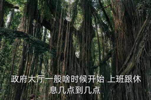  政府大廳一般啥時(shí)候開(kāi)始 上班跟休息幾點(diǎn)到幾點(diǎn)