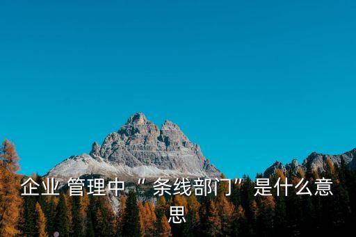條線管理,行政事業(yè)性收費(fèi)和罰沒收入收支兩條線管理
