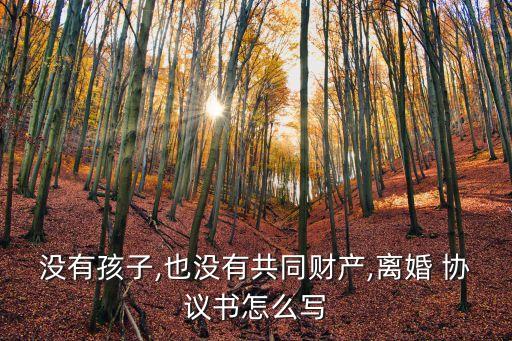 沒有孩子,也沒有共同財產(chǎn),離婚 協(xié)議書怎么寫