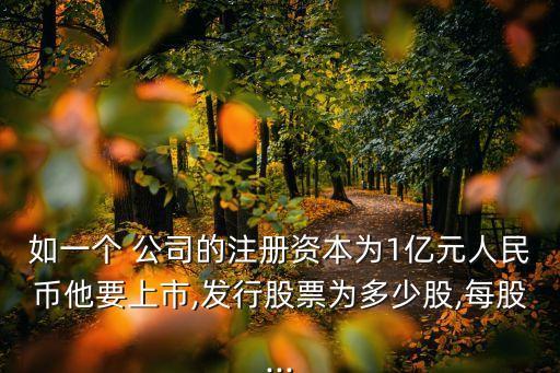 如一個(gè) 公司的注冊資本為1億元人民幣他要上市,發(fā)行股票為多少股,每股...