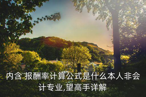 內(nèi)含 報(bào)酬率計(jì)算公式是什么本人非會(huì)計(jì)專業(yè),望高手詳解