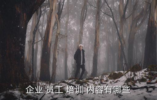 企業(yè) 員工 培訓(xùn) 內(nèi)容有哪些