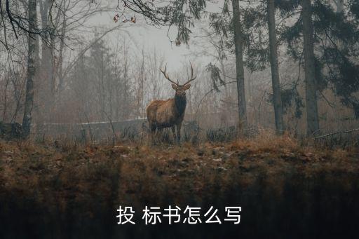 標書格式,下浮率報價的標書格式