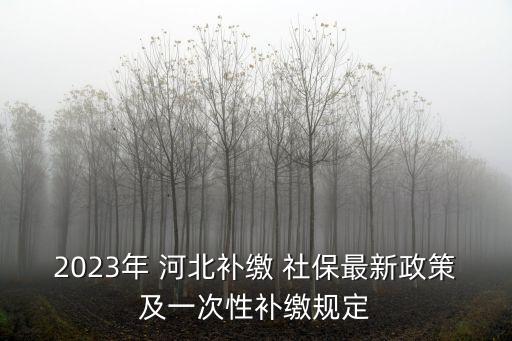 2023年 河北補(bǔ)繳 社保最新政策及一次性補(bǔ)繳規(guī)定