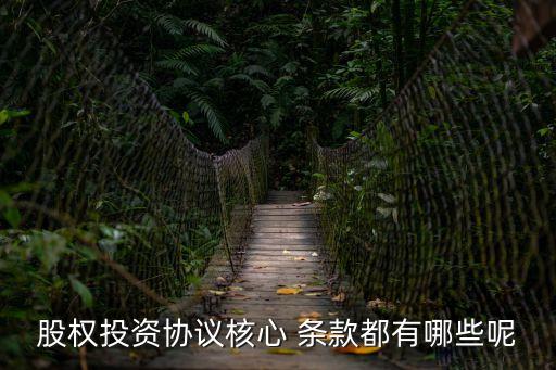 反稀釋條款,股東協(xié)議反稀釋條款