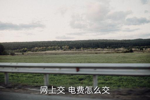 網(wǎng)上交 電費(fèi)怎么交