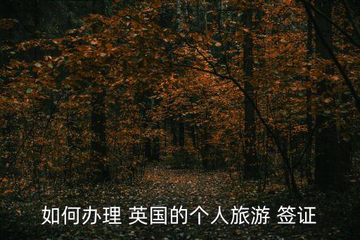 如何辦理 英國的個人旅游 簽證