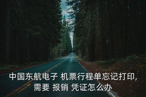 中國(guó)東航電子 機(jī)票行程單忘記打印,需要 報(bào)銷(xiāo) 憑證怎么辦