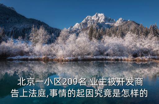  北京一小區(qū)209名 業(yè)主被開發(fā)商告上法庭,事情的起因究竟是怎樣的