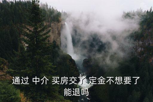 通過 中介 買房交了 定金不想要了能退嗎