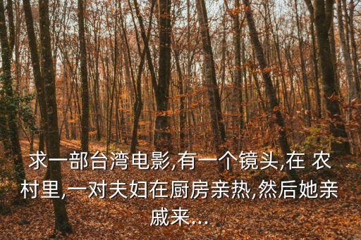 求一部臺灣電影,有一個鏡頭,在 農村里,一對夫婦在廚房親熱,然后她親戚來...