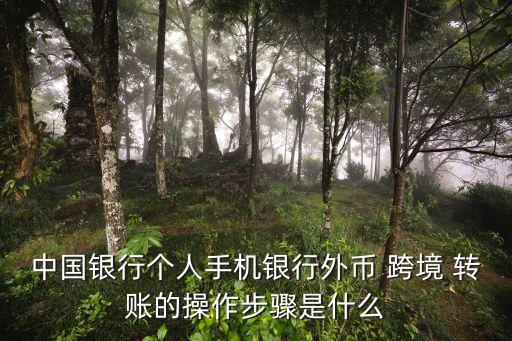 跨境轉(zhuǎn)賬