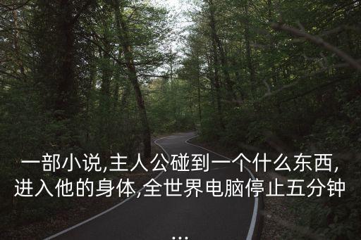 一部小說,主人公碰到一個什么東西,進入他的身體,全世界電腦停止五分鐘...