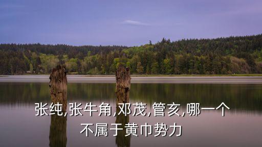  張純,張牛角,鄧茂,管亥,哪一個不屬于黃巾勢力
