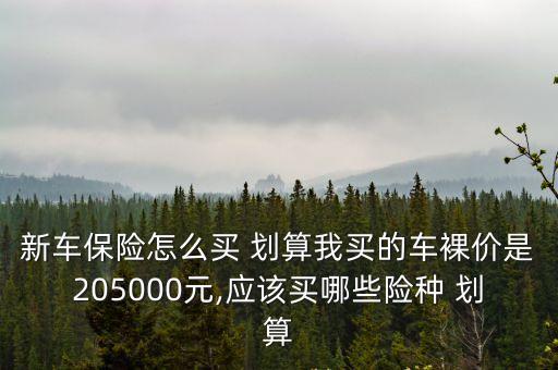 新車保險(xiǎn)怎么買 劃算我買的車裸價(jià)是205000元,應(yīng)該買哪些險(xiǎn)種 劃算
