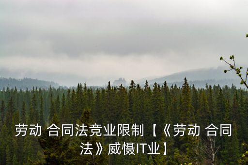 勞動(dòng) 合同法競業(yè)限制【《勞動(dòng) 合同法》威懾IT業(yè)】