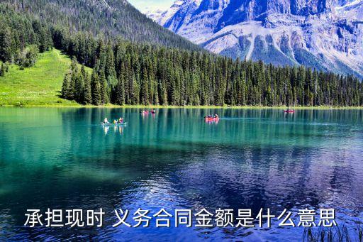 承擔(dān)現(xiàn)時(shí) 義務(wù)合同金額是什么意思