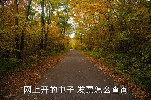 網(wǎng)絡(luò)發(fā)票