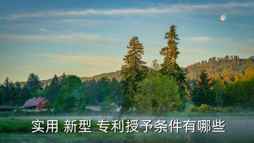 新型實(shí)用專利