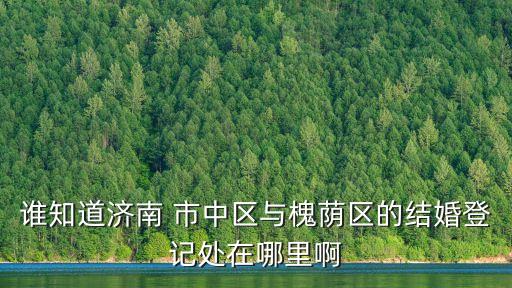 誰知道濟南 市中區(qū)與槐蔭區(qū)的結(jié)婚登記處在哪里啊