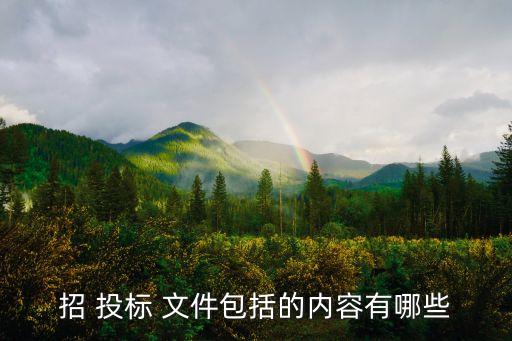 招 投標(biāo) 文件包括的內(nèi)容有哪些
