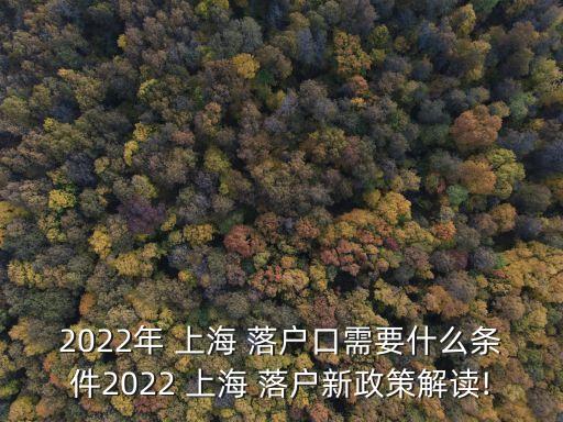 2022年 上海 落戶口需要什么條件2022 上海 落戶新政策解讀!