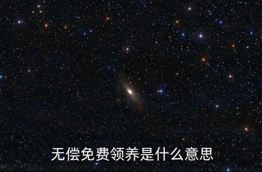 無(wú)償什么意思,太太無(wú)償什么意思