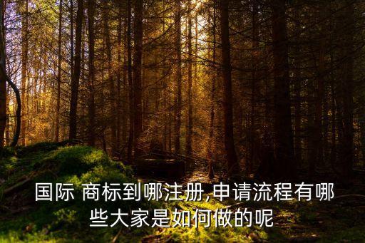  國(guó)際 商標(biāo)到哪注冊(cè),申請(qǐng)流程有哪些大家是如何做的呢
