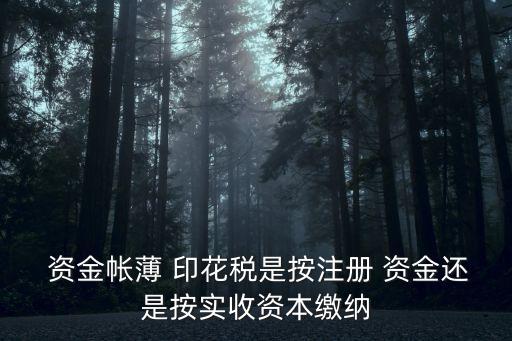 資金賬簿印花稅