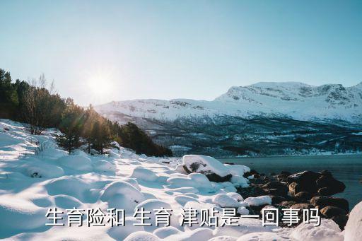  生育險和 生育 津貼是一回事嗎