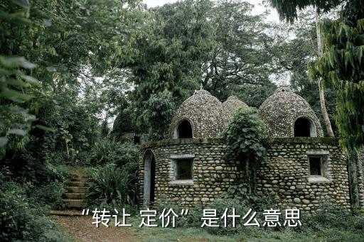 定價(jià)是什么意思,滲透定價(jià)是什么意思