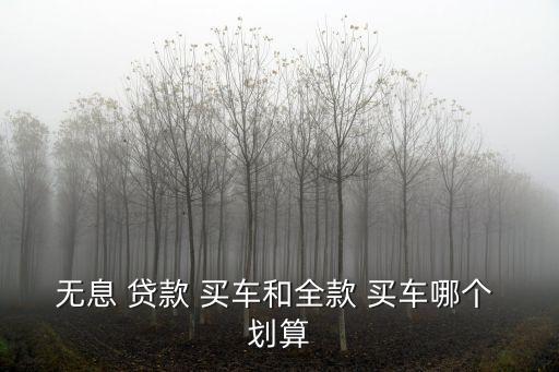 貸款買車劃算嗎,2023年貸款買車劃算嗎