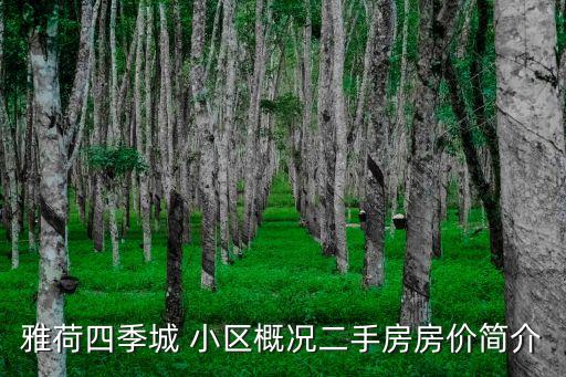雅荷四季城 小區(qū)概況二手房房價(jià)簡介