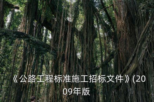 《公路工程標(biāo)準(zhǔn)施工招標(biāo)文件》(2009年版