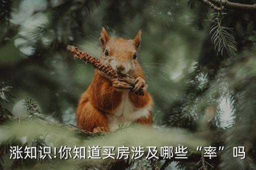 漲知識(shí)!你知道買房涉及哪些“率”嗎