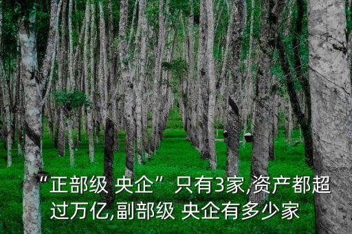 “正部級 央企”只有3家,資產(chǎn)都超過萬億,副部級 央企有多少家