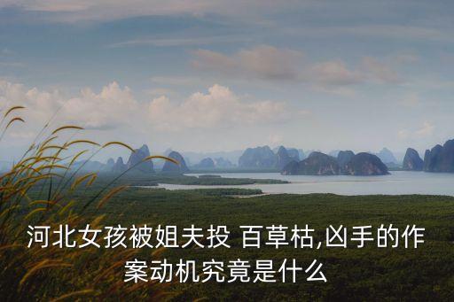 河北女孩被姐夫投 百草枯,兇手的作案動(dòng)機(jī)究竟是什么