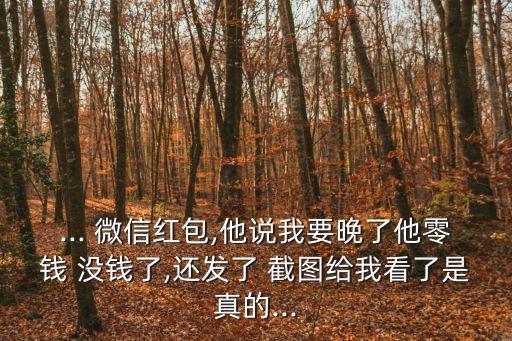 ... 微信紅包,他說(shuō)我要晚了他零錢 沒(méi)錢了,還發(fā)了 截圖給我看了是真的...