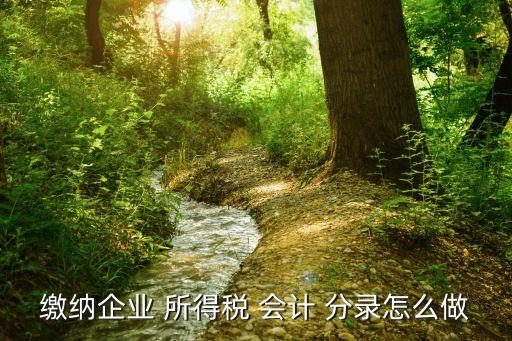 所得稅會計分錄,匯算清繳補繳的所得稅會計分錄
