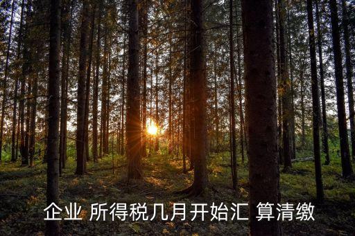  企業(yè) 所得稅幾月開始匯 算清繳