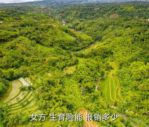 女方 生育險能 報銷多少