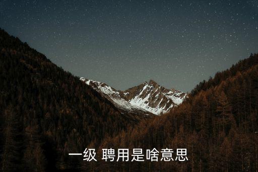 一級 聘用是啥意思
